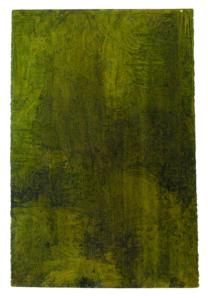 amacizo papel 04.jpg